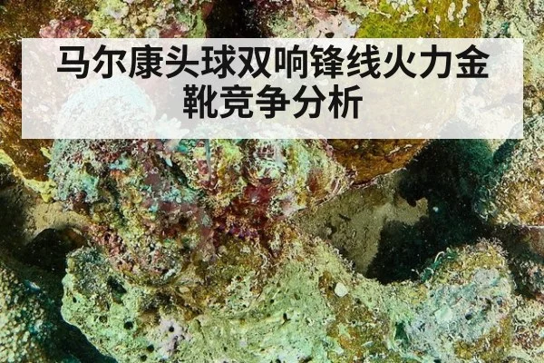 马尔康头球双响锋线火力金靴竞争分析